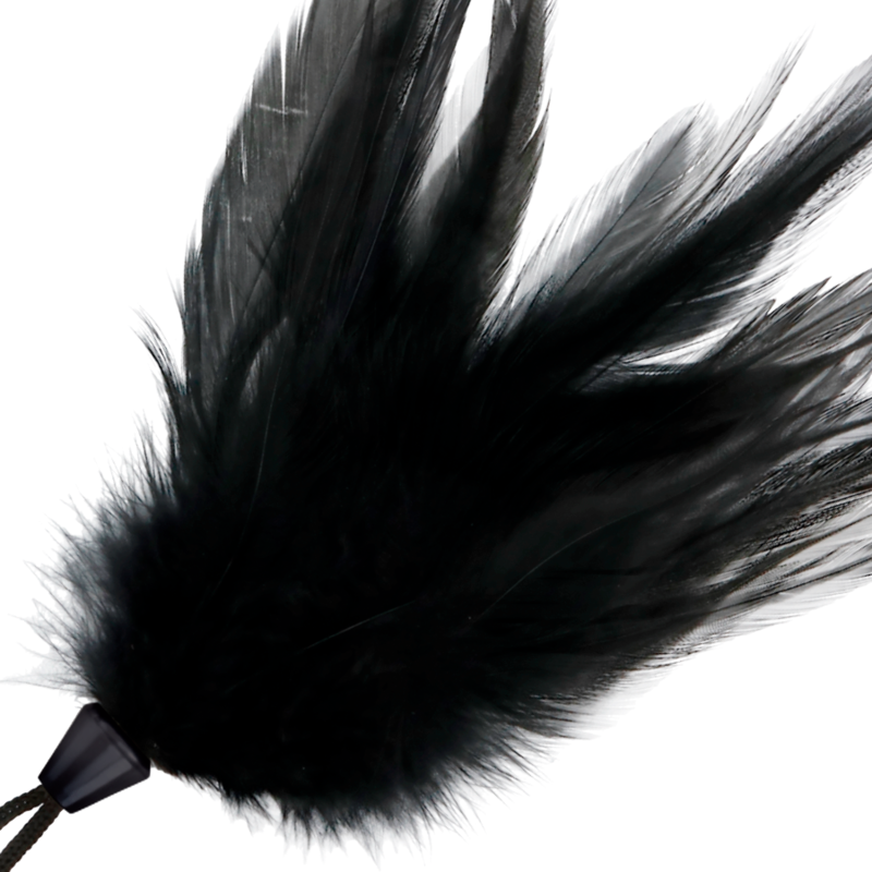 Plume noire Darkness