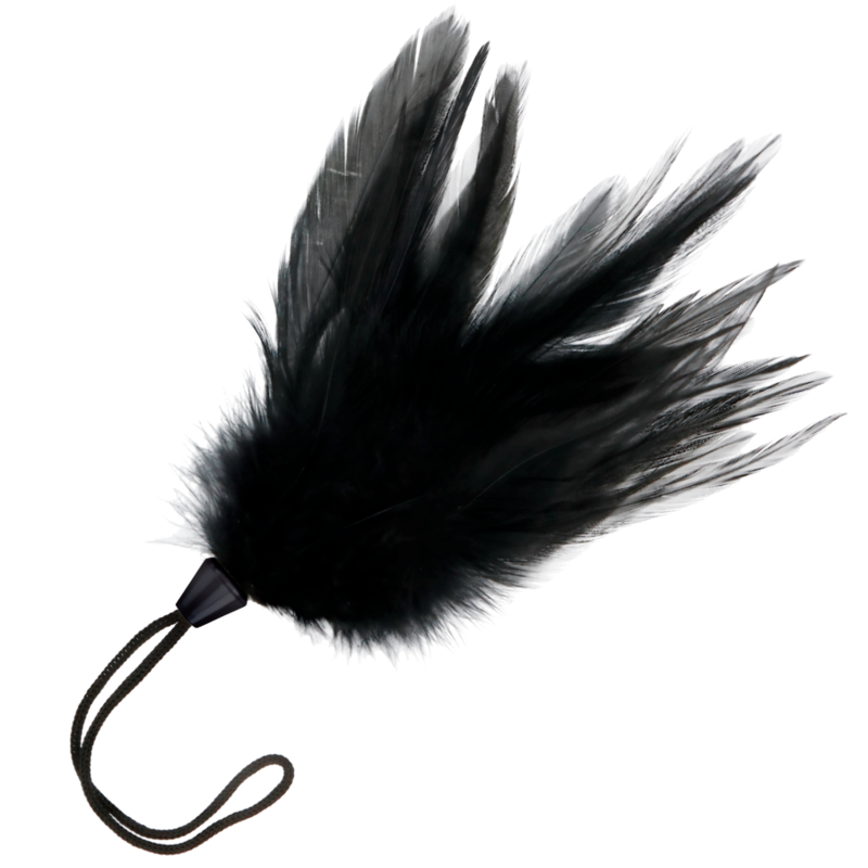 Plume noire Darkness