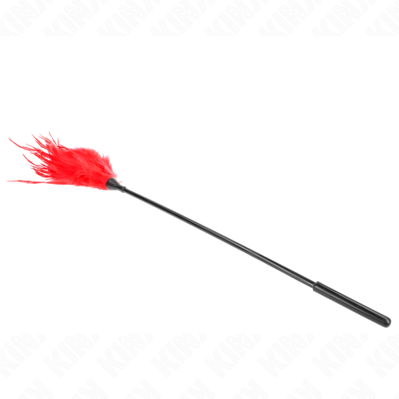 Plumeau Érotique à Plumes Rouges 45 cm