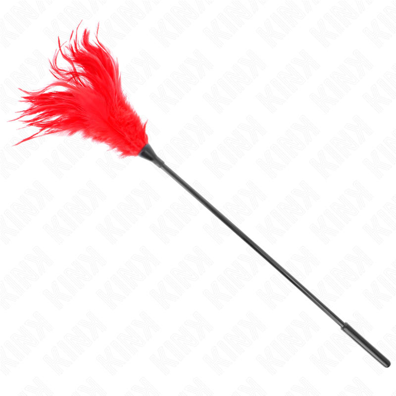 Plumeau Érotique à Plumes Rouges 45 cm