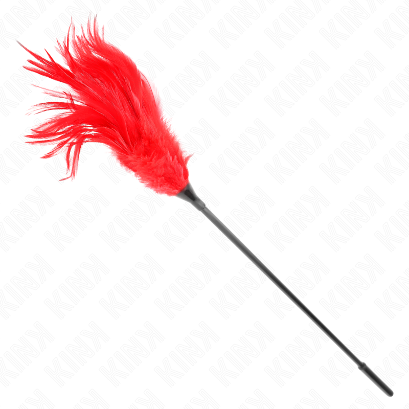 Plumeau Érotique à Plumes Rouges 45 cm