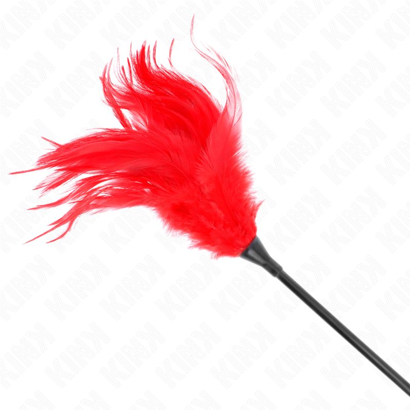 Plumeau Érotique à Plumes Rouges 45 cm