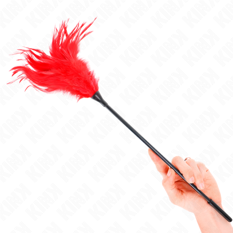 Plumeau Érotique à Plumes Rouges 45 cm