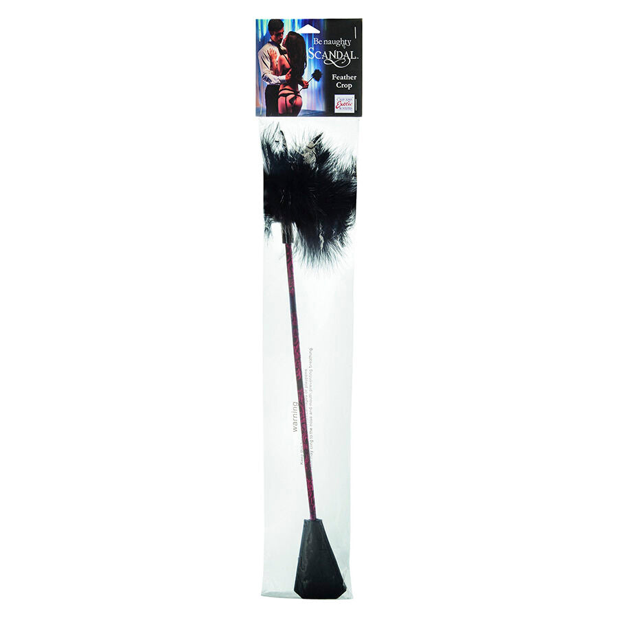 Fouet à plumes noires Scandal