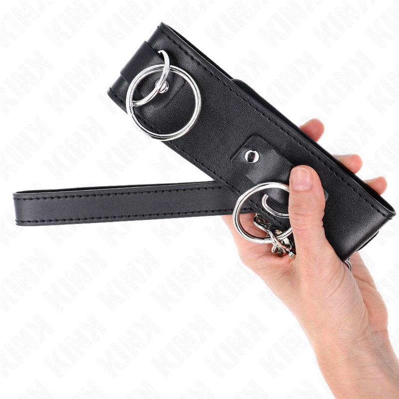 Collier avec Laisse KINK